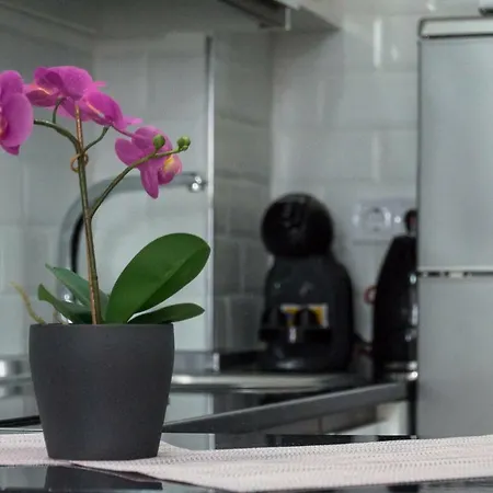 Minerva M&d 123 Apartamento *